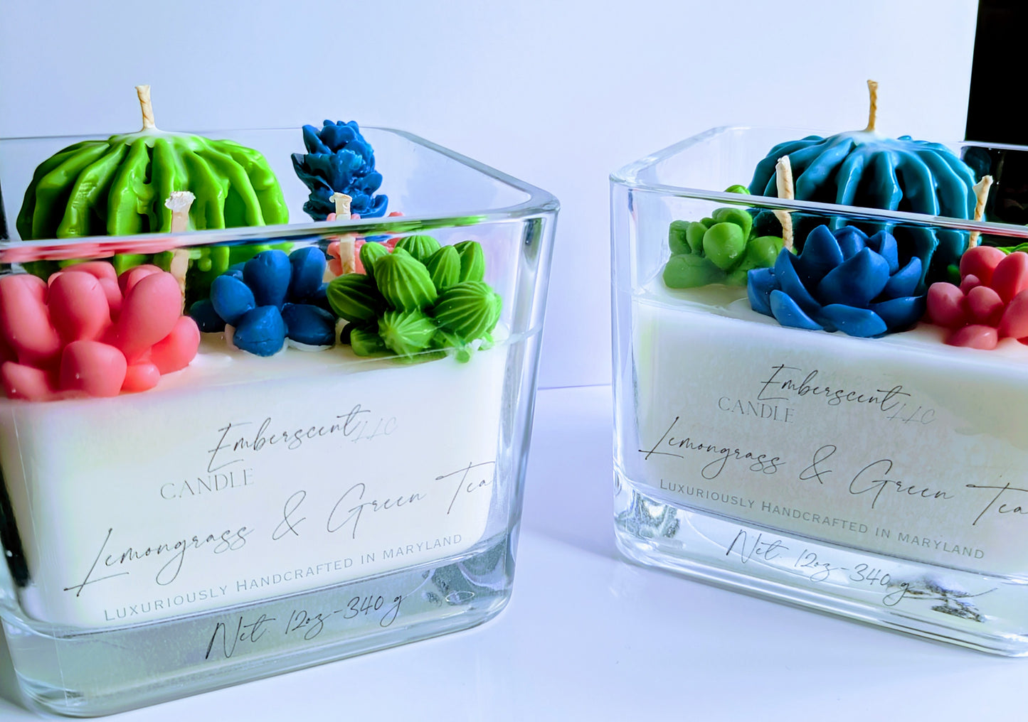 Lemongrass & Green Tea Succulent Candle 12oz